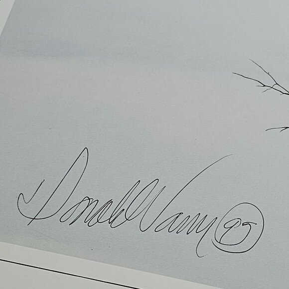 Spirit Of The Rockies Signed Donald Vann 1994 Native American Wolf Art Print - Picture 2 of 8